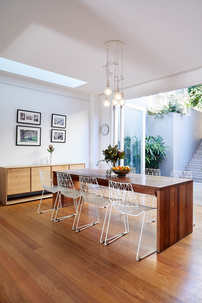 Contemporary dining room in Sydney with white walls, medium hardwood floors and brown floor.