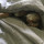 webuser_681286478