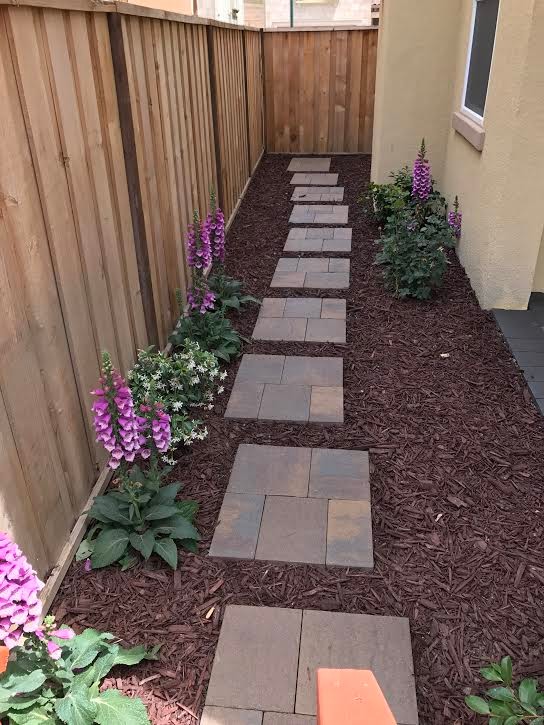 Backyard Paver Project