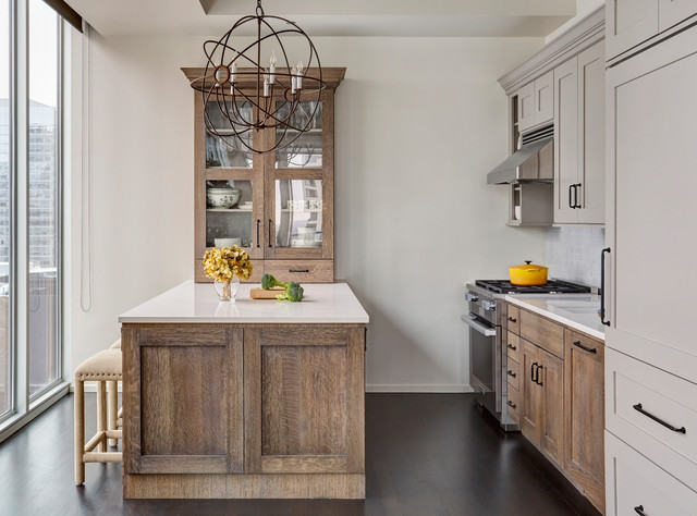 Chicago Pent House transitional-kitchen
