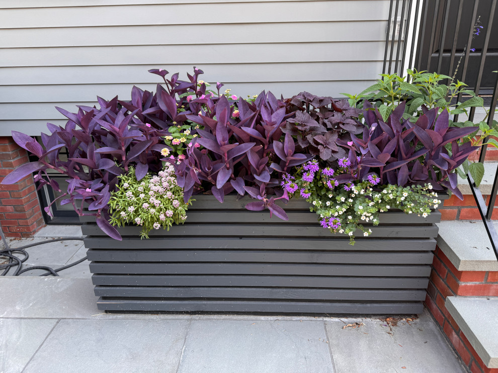 Greenwood front and back yard