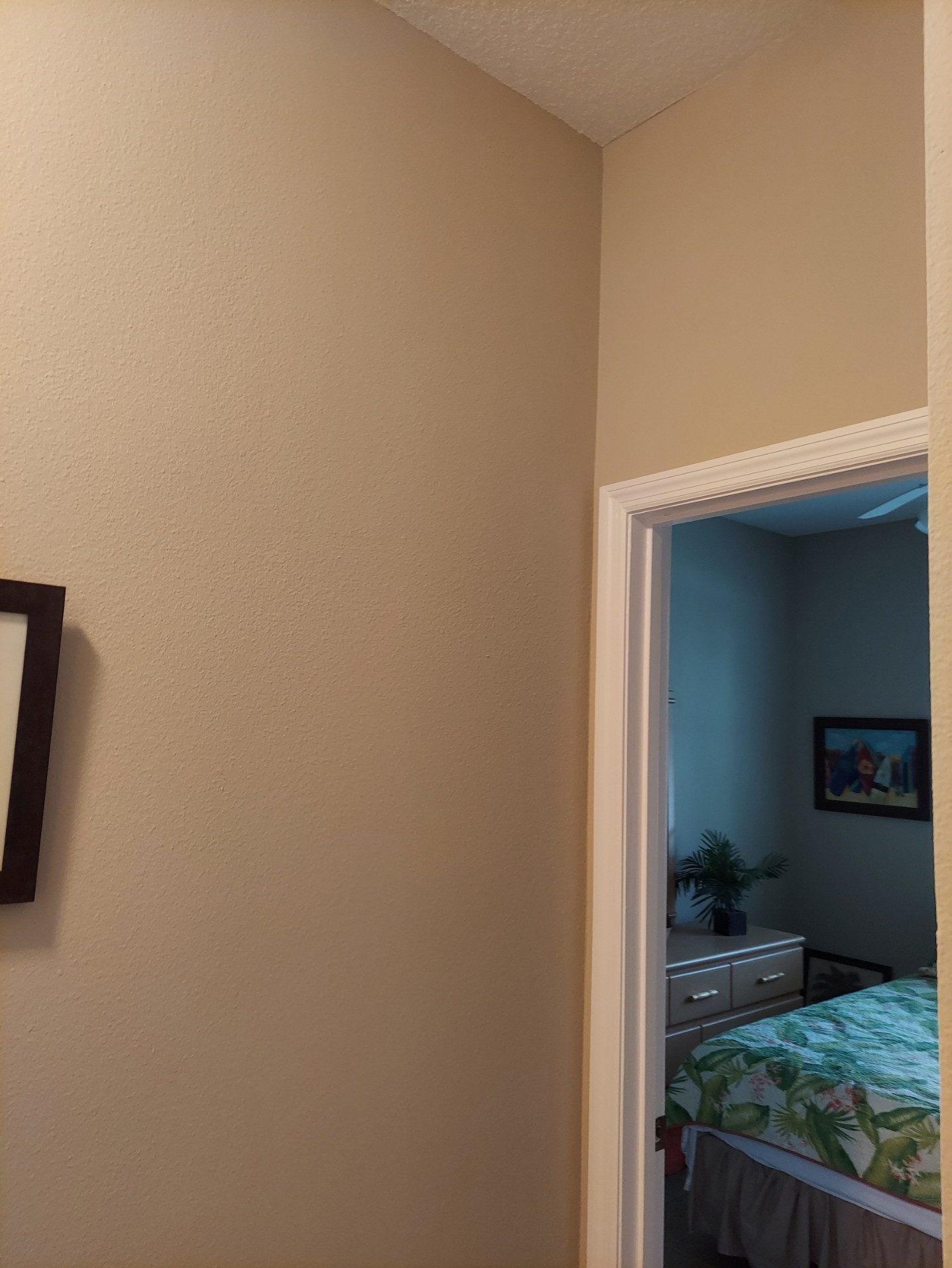 Interior Painting (Woodmere Lakes Subdivision)