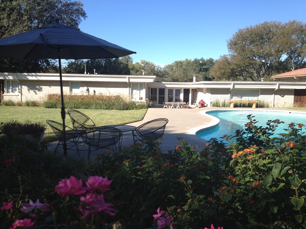 Inspiration for a midcentury pool in Dallas.