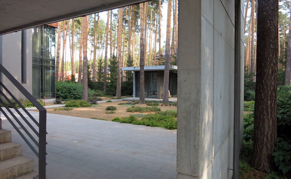 Лесные дорожки, явные и неявные