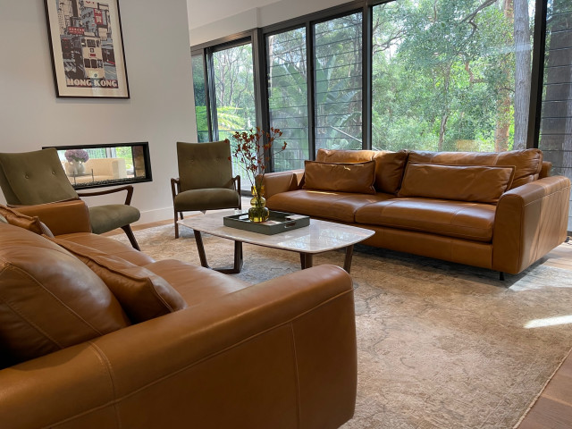 Living Room midcentury-living-room
