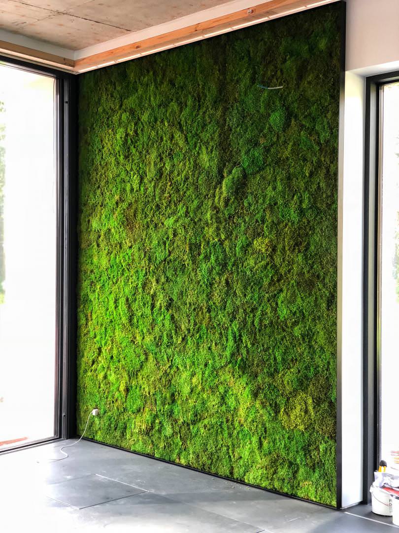 Живой мох в интерьере