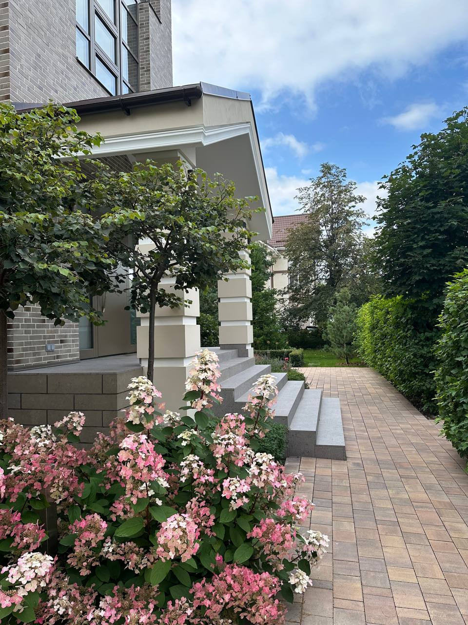 Чистые линии