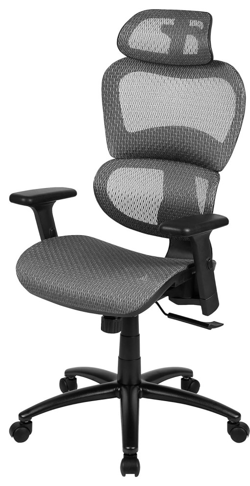Gray Ergonomic Office Chair, SynchroTilt, Adjustable Headrest, Lumbar