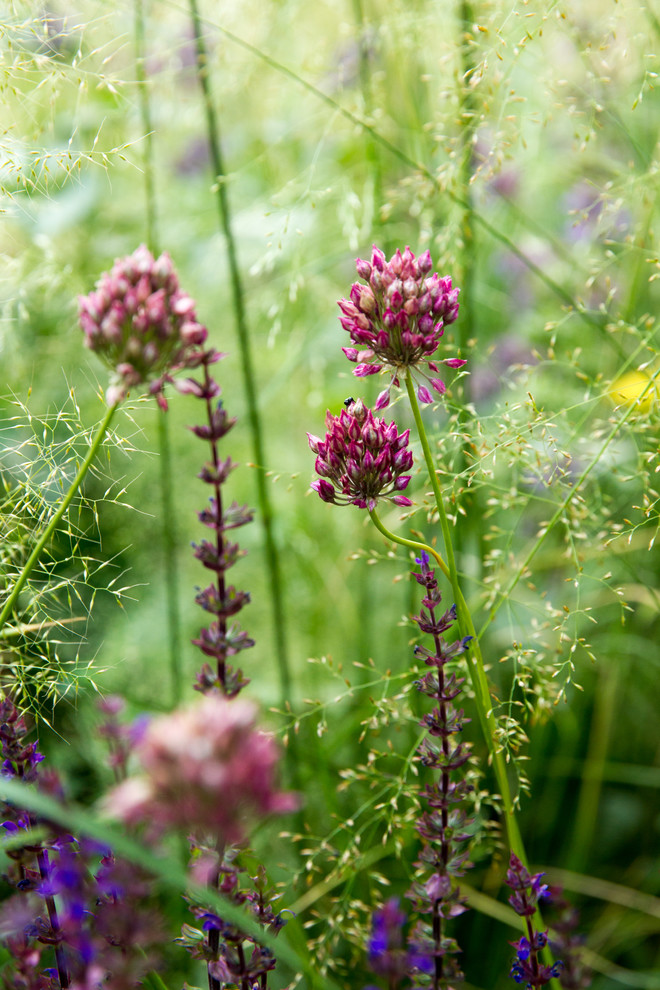 Сад James Alexander-Sinclair на Moscow Flower Show 2018 (вне конкрса)