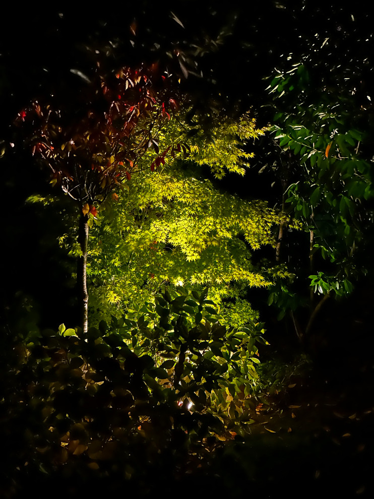 #Côté Jardin