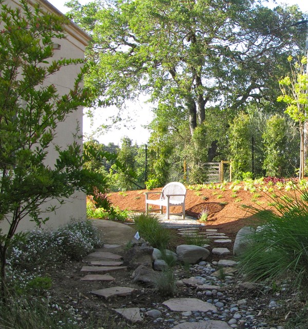 Los Altos Hills Mediterranean Garden contemporary-garden