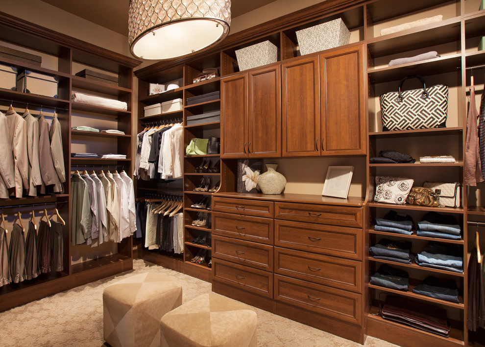 Mid-sized transitional gender-neutral walk-in wardrobe in Boston with dark wood cabinets, carpet and recessed-panel cabinets.