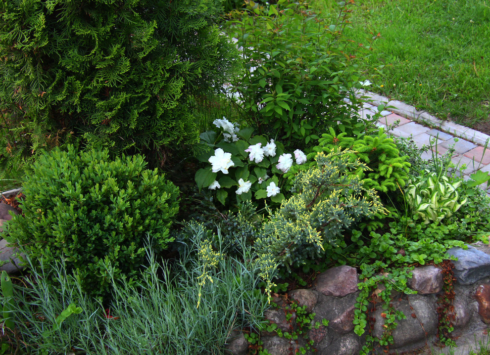 Наш сад / Our garden