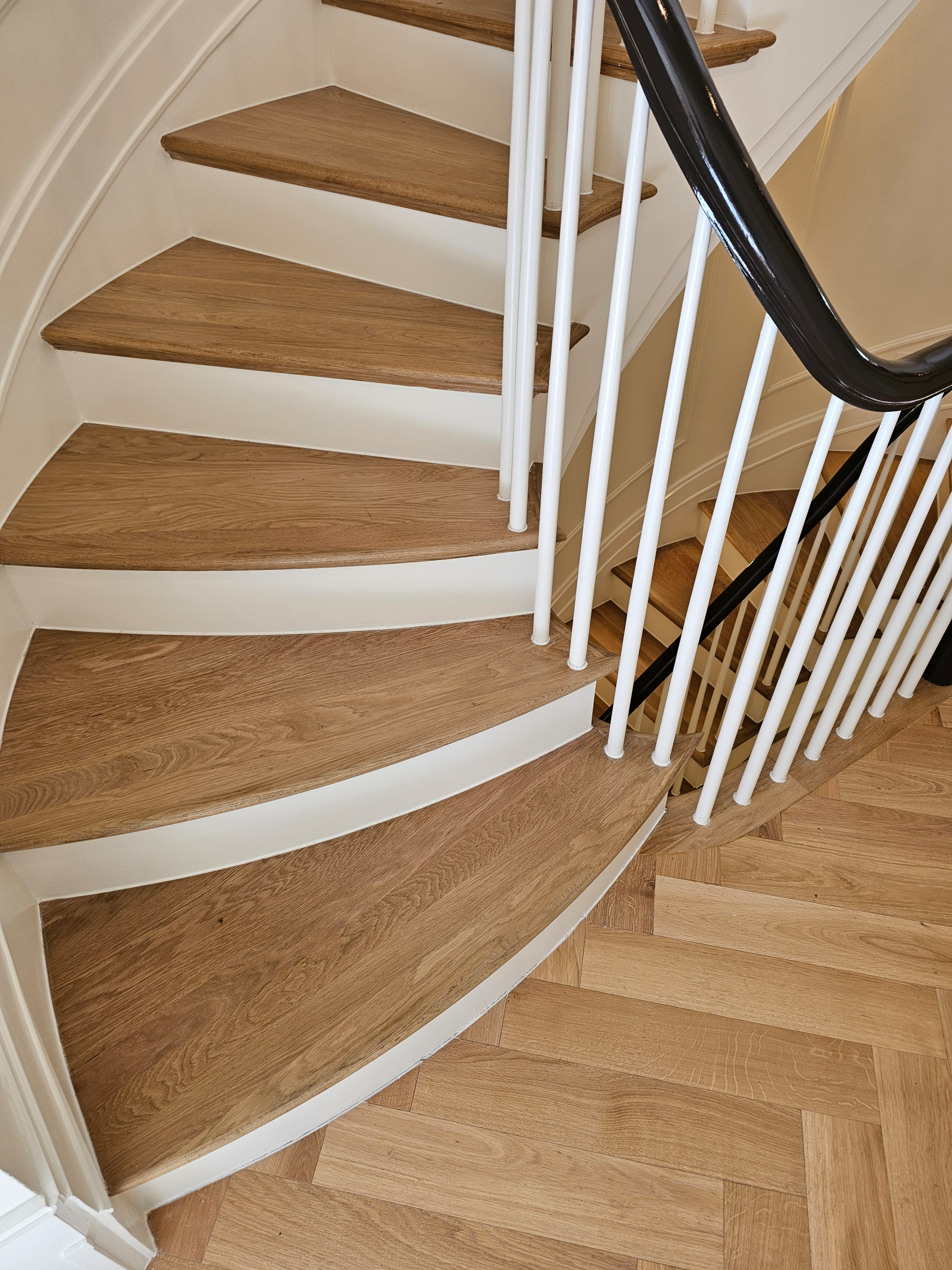 131_Stunning Elliptical in Historic DC Home, Washington DC 20007