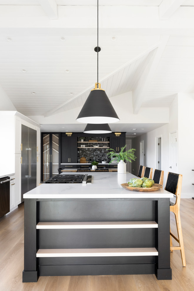 Home design - transitional home design idea in Los Angeles