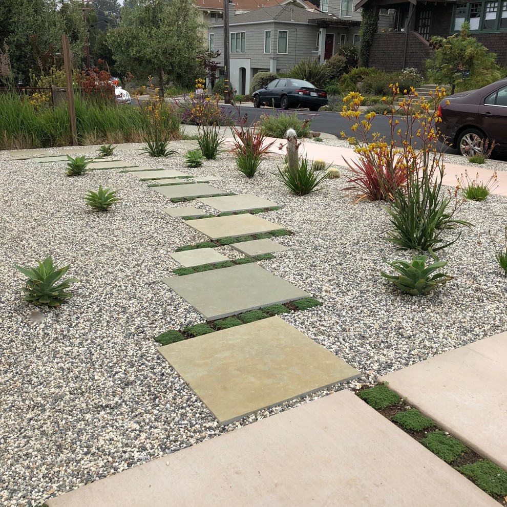 Photo of a small contemporary front yard full sun garden in San Francisco with a garden path and natural stone pavers.