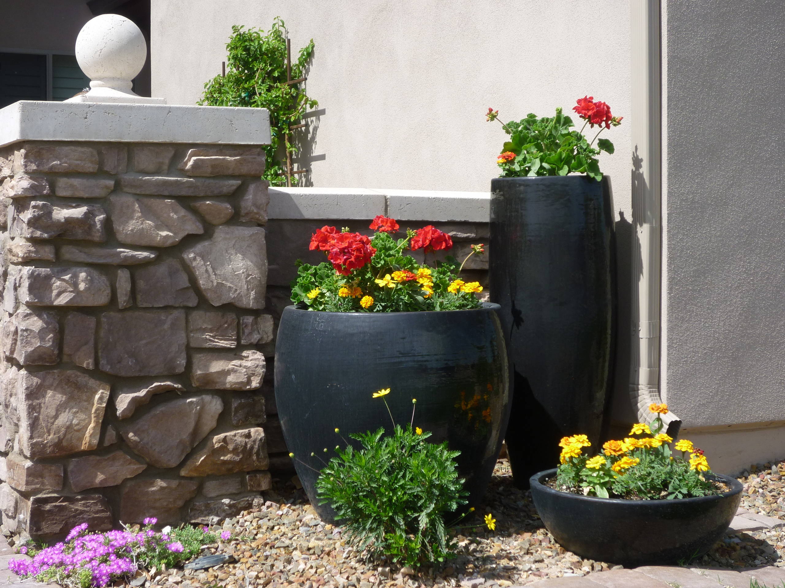 Pots with Annuals