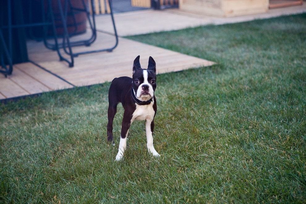 Озеленение летней веранды Dewar's Powerhouse