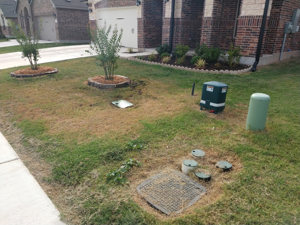 PVC Pipe in close proximity to tree roots.