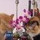 melissa_nicolaou80
