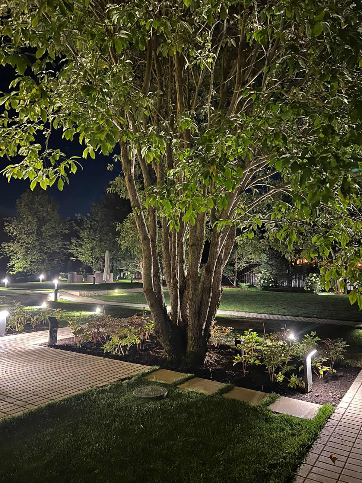 Участок Ольги и Евгения