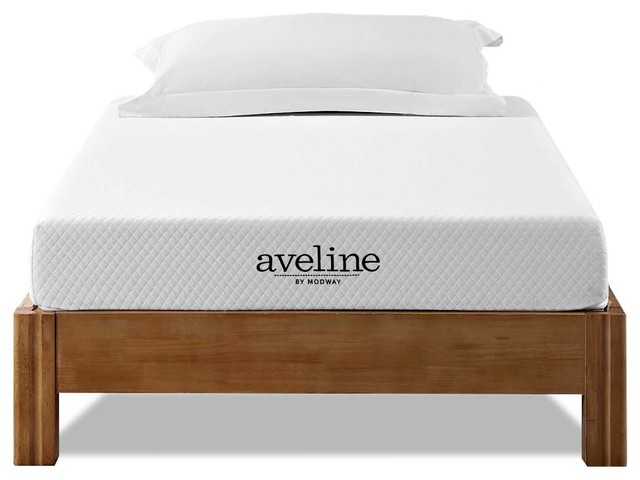 Modway Aveline 6 Twin Mattress Contemporary Mattresses By Gwg Modway Aveline 6 Twin Mattress Contemporary Mattresses By Gwg