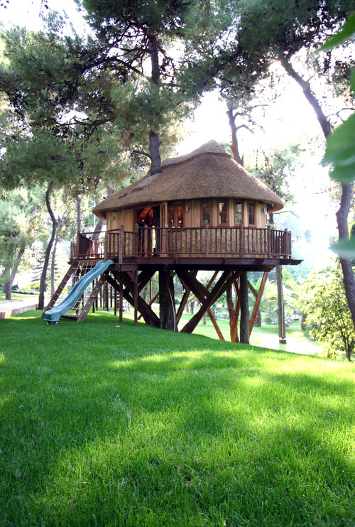 treehouse in Greece, Δεντρόσπιτο στην Ελλάδα