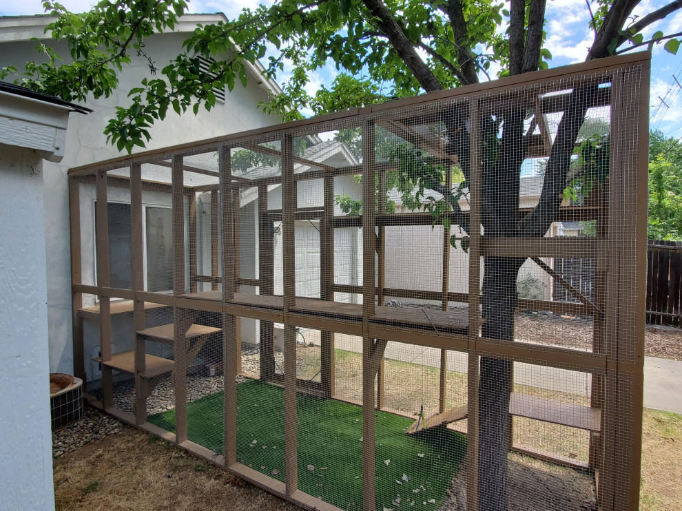 Custom Catio (Cat Patio)