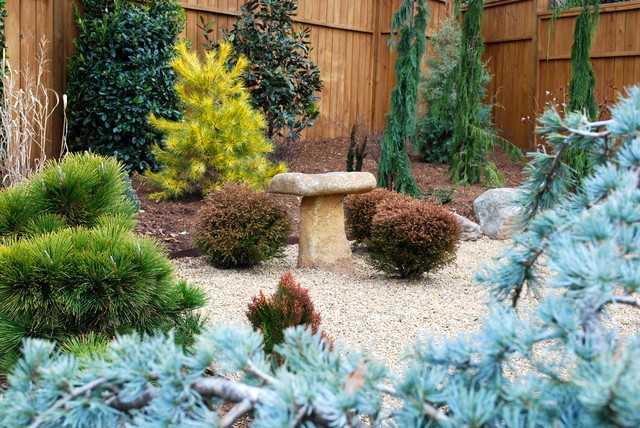 Designing With Conifers Personality, Conifer Garden Design Ideas