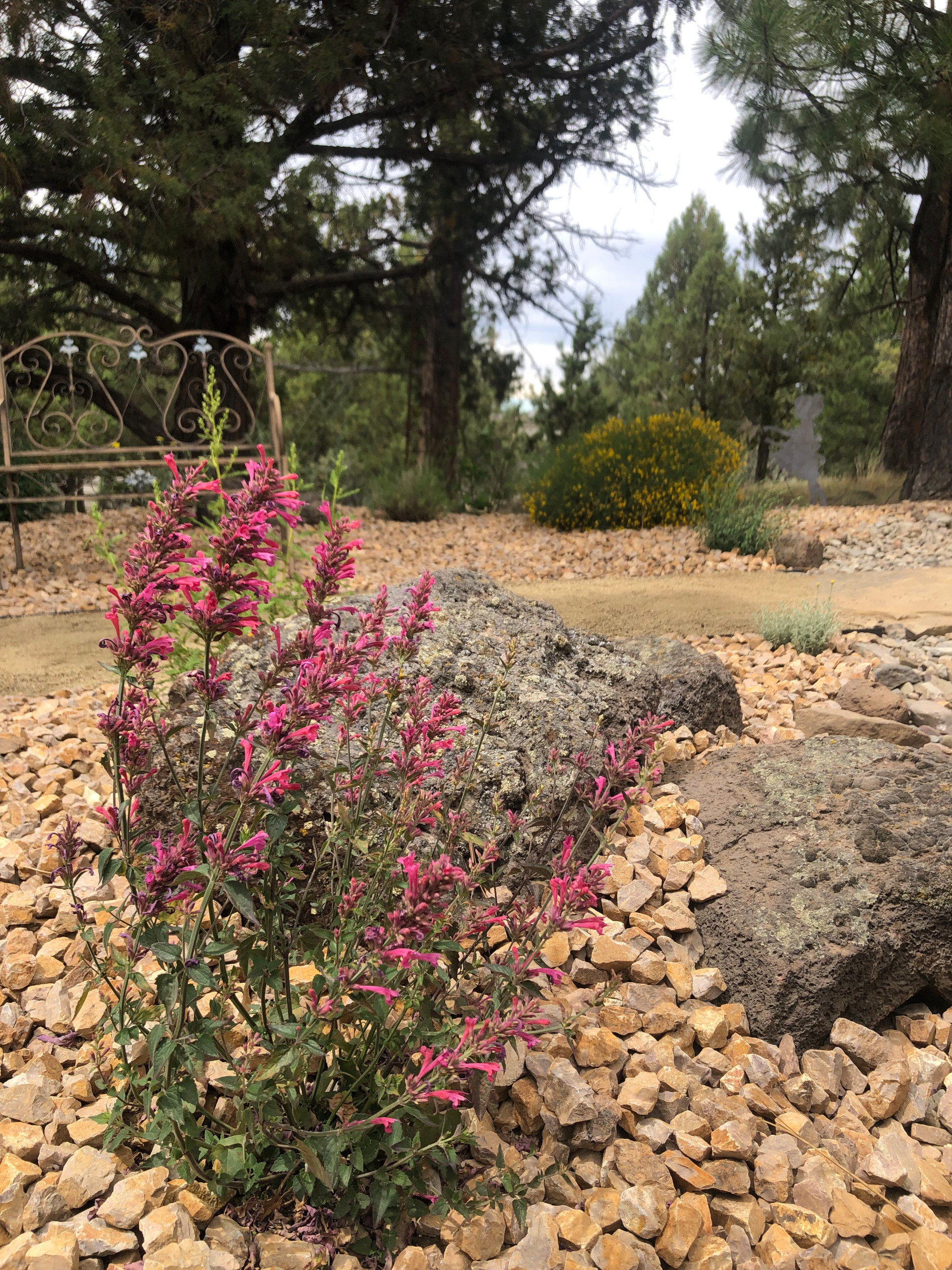 Awbrey Butte - Desert Style