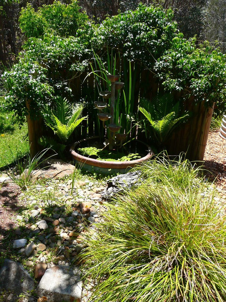 Photo of a tropical garden in Sydney.