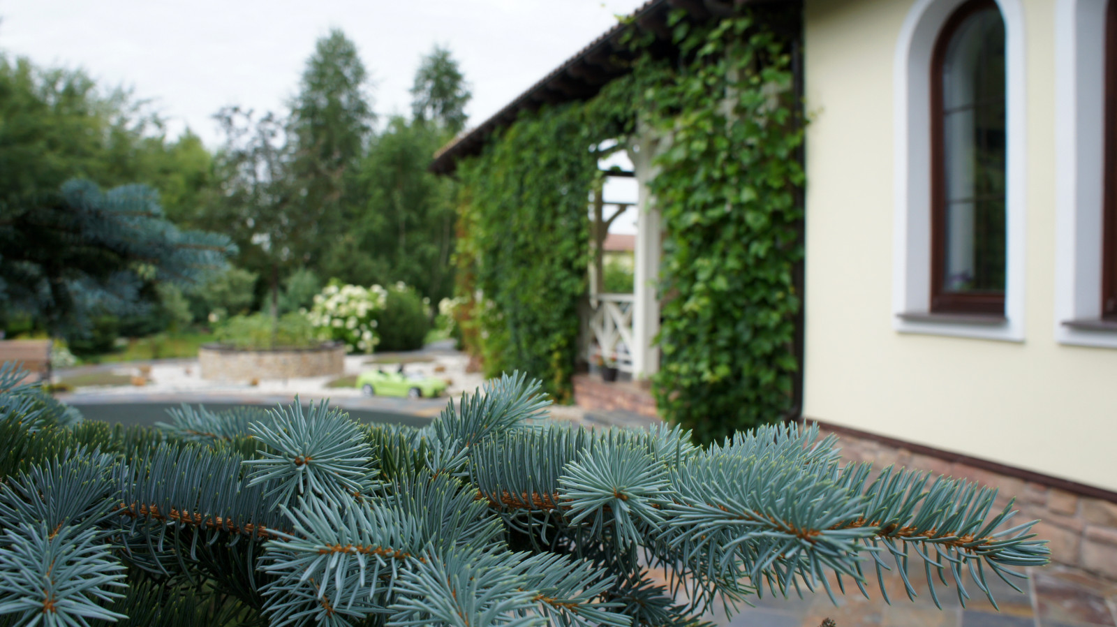 Цветники и композиции крупным планом