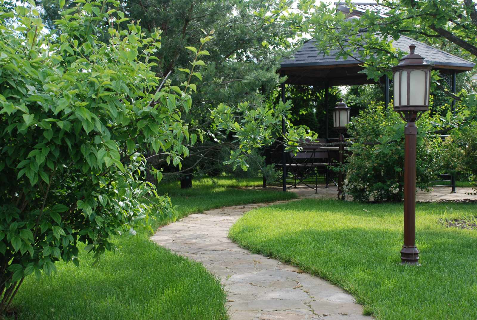 Сад в КП Миллениум Парк