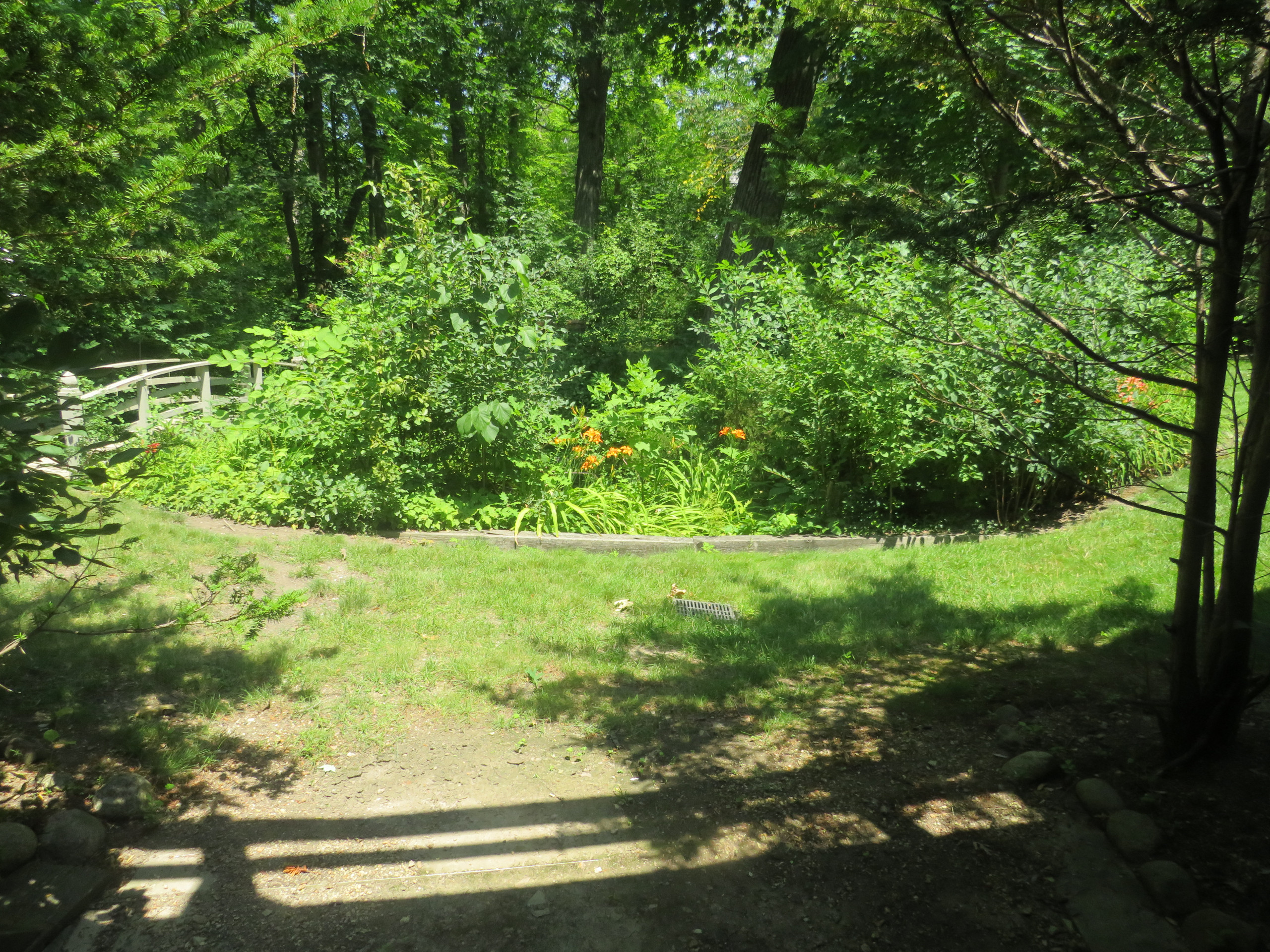 Mid-Century Ranch Landscape - Lake Forest, IL