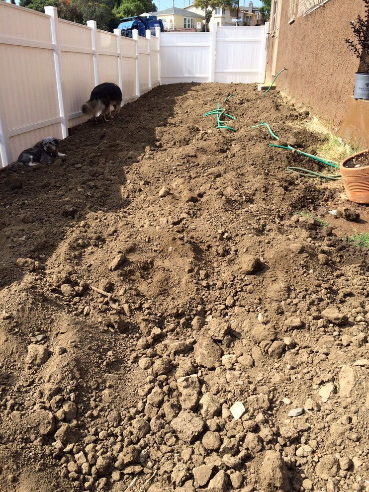 How to level this dirt?