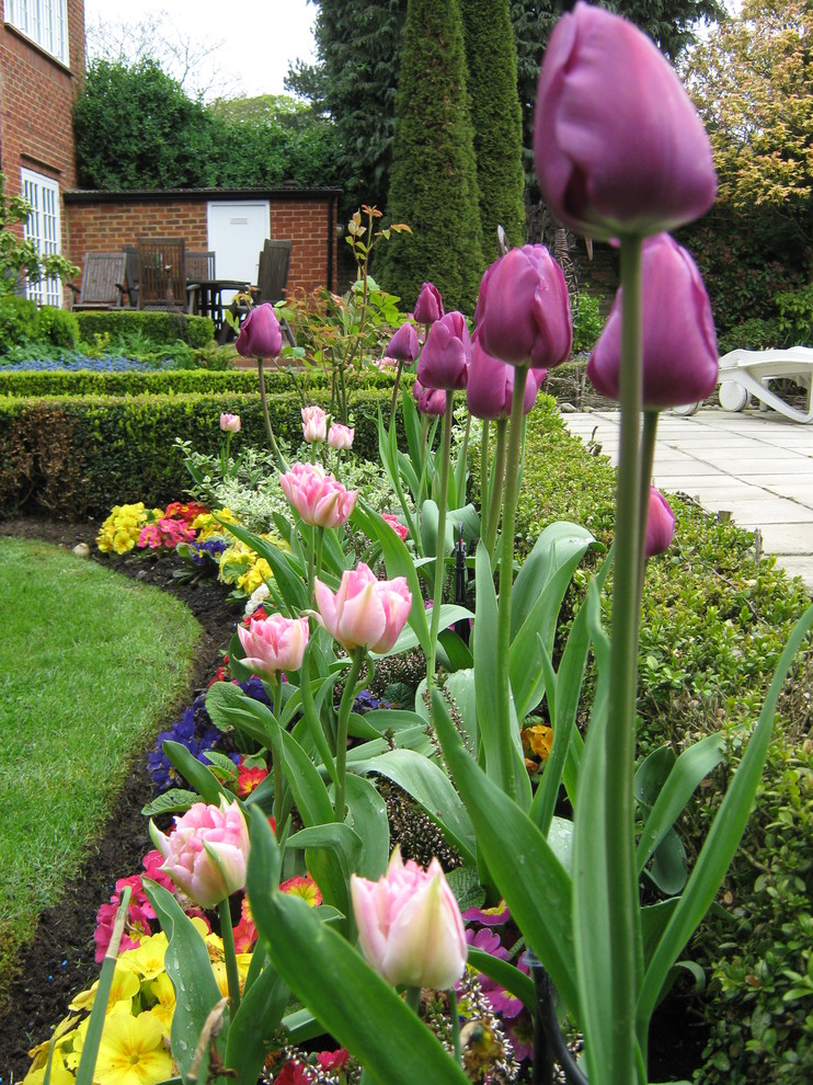 Photo of a garden in Hertfordshire.