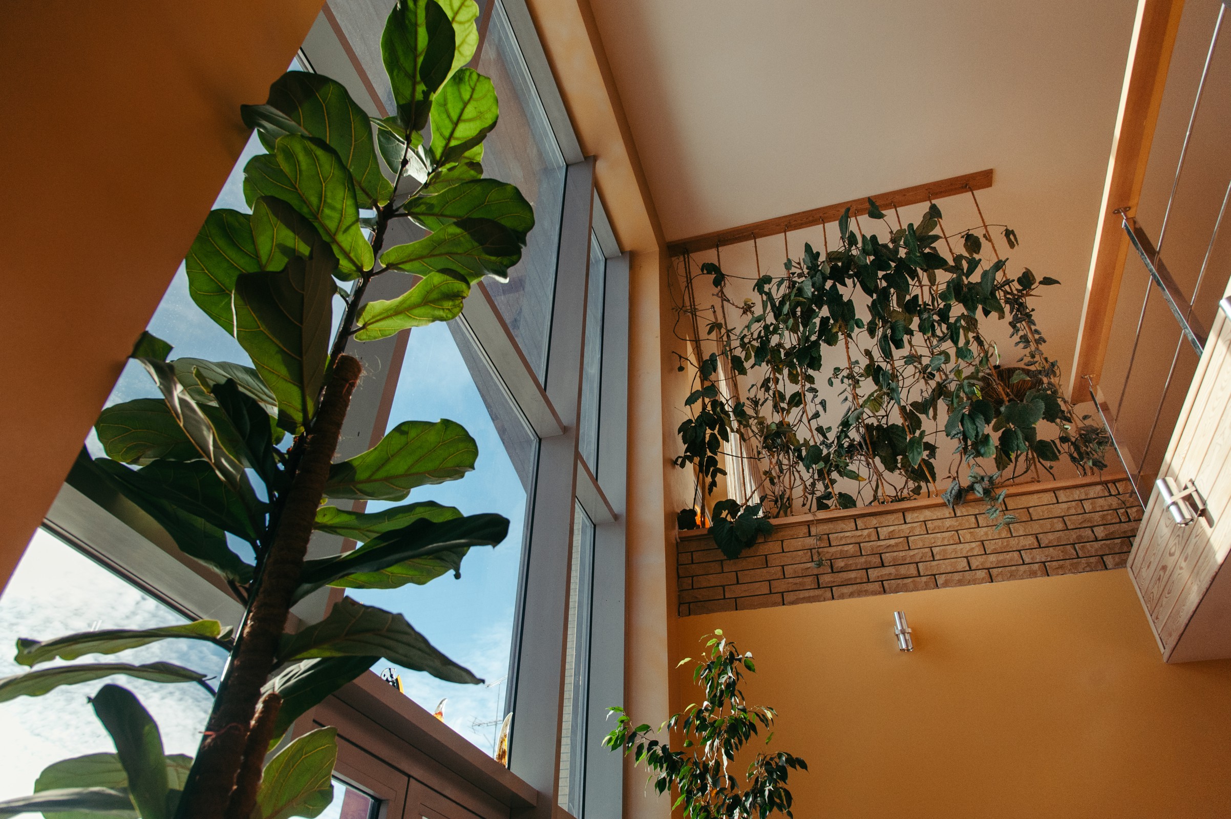 Дом в эко стиле