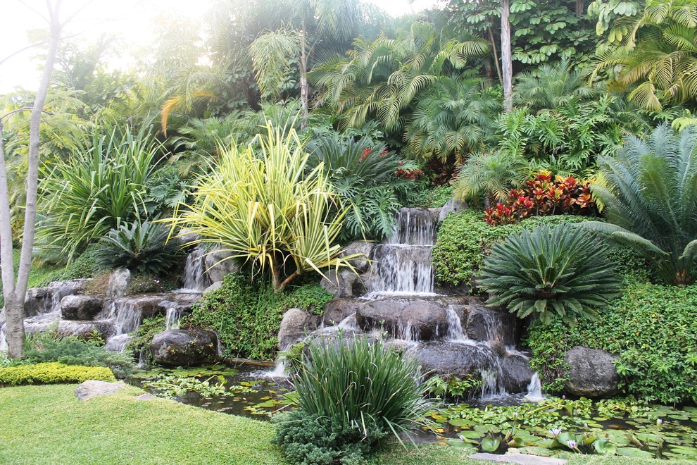 Inspiration for a tropical garden in Other with with waterfall.