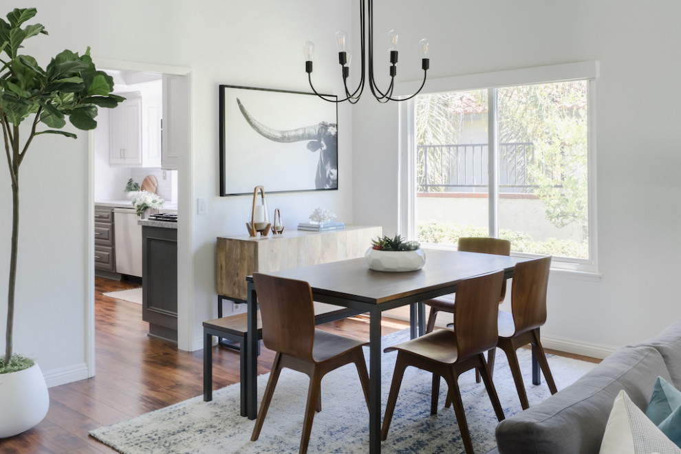 Design ideas for a modern dining room in Orange County.