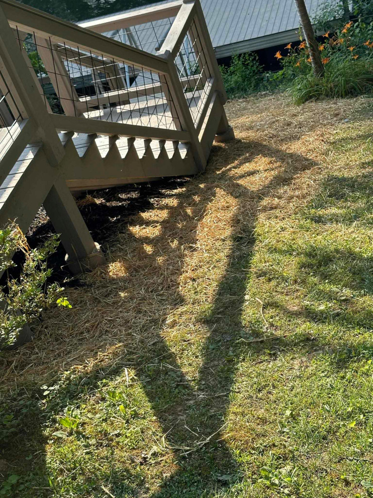 K Bushey Deck