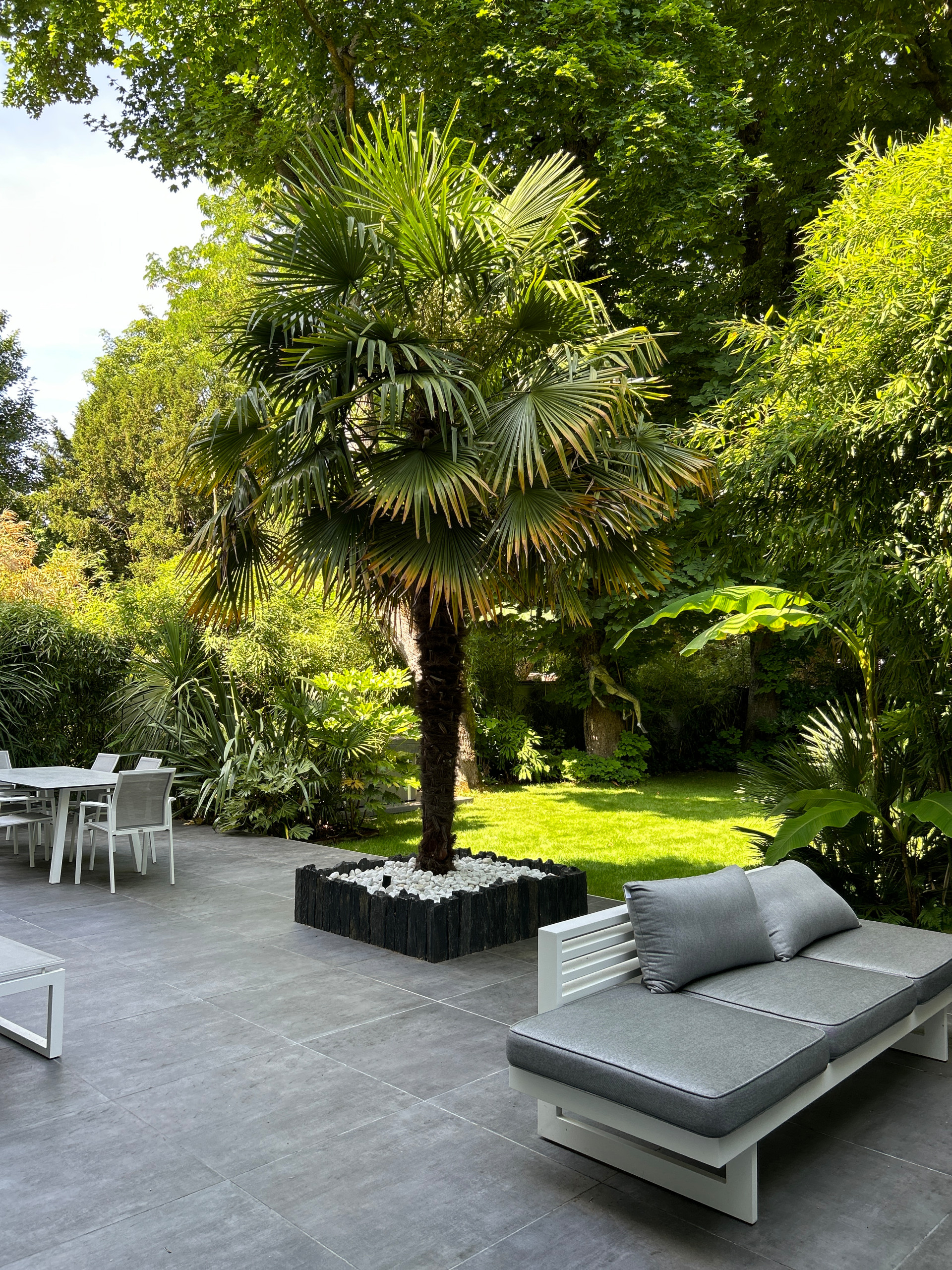 Réalisation d'un jardin tropical