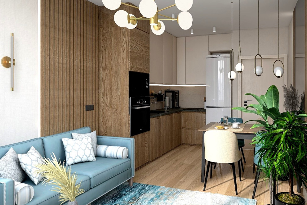 Кухня-гостиная СПБ