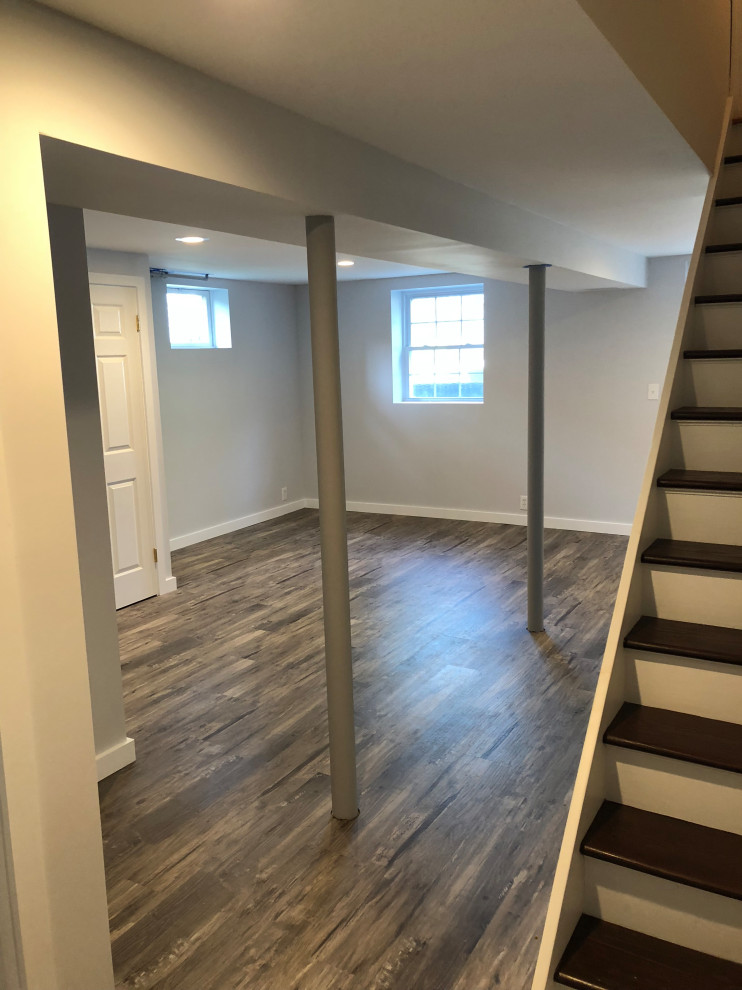 Basement - transitional basement idea in New York