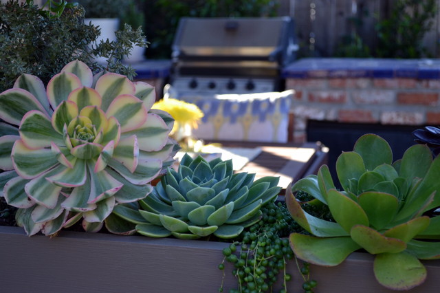 Design ideas for a small contemporary partial sun backyard brick landscaping in Orange County.