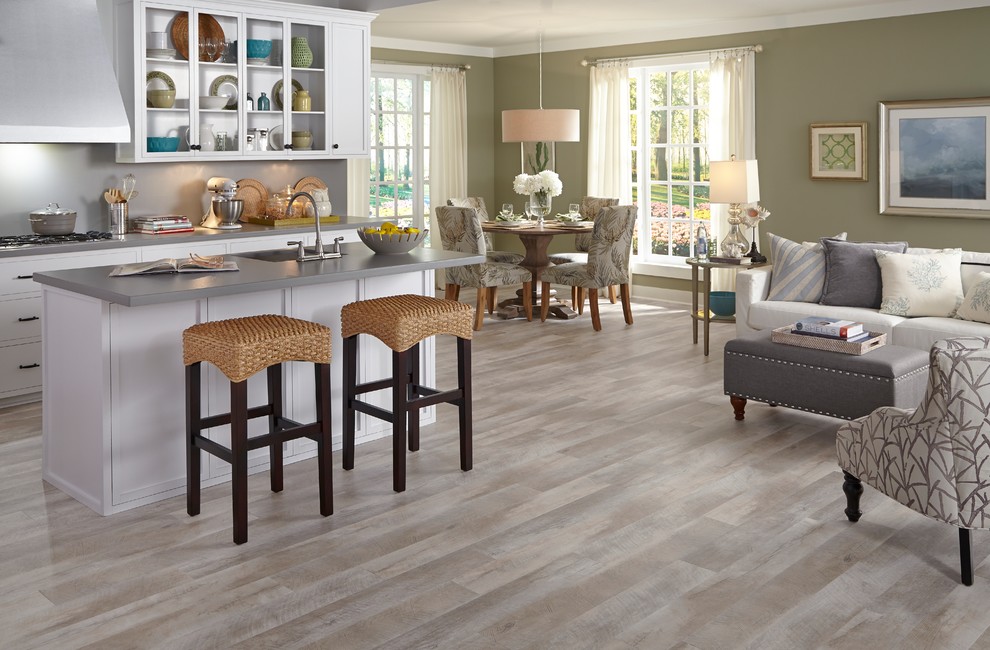 Example of a transitional vinyl floor kitchen design in Detroit