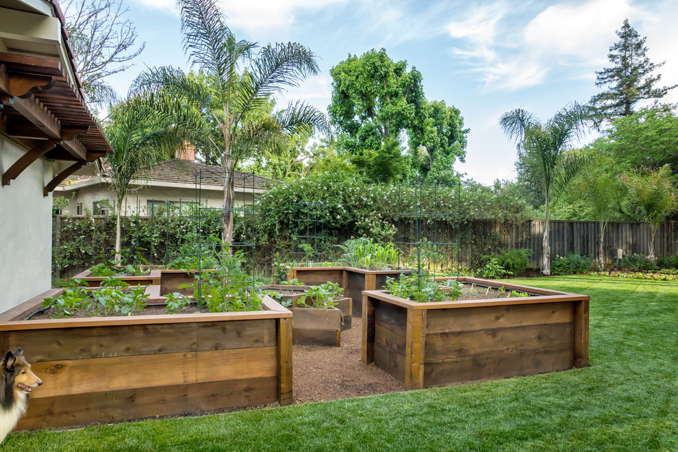 Inspiration for a small traditional backyard full sun formal garden for spring in San Francisco with a vegetable garden and brick pavers.