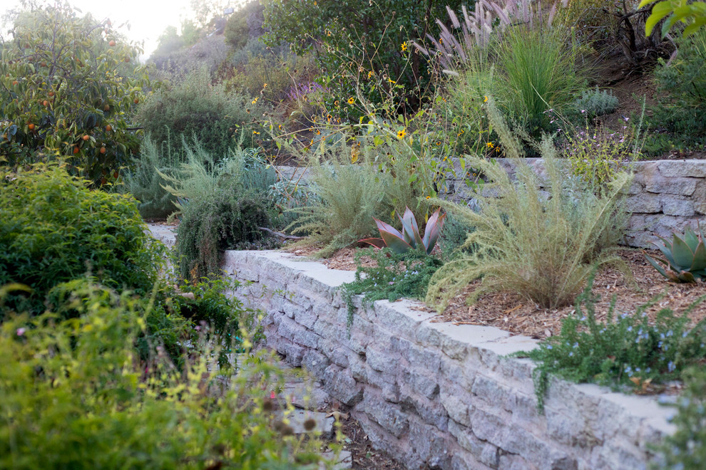 Design ideas for a mediterranean garden in Los Angeles.