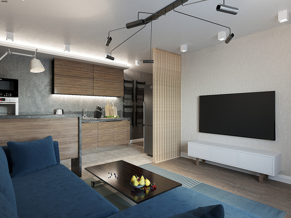 КВАРТИРА ДЛЯ МОЛОДОГО ЧЕЛОВЕКА