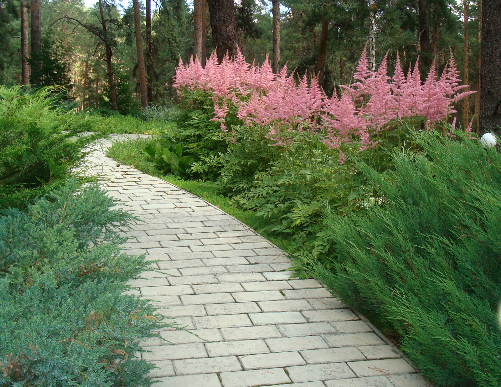 Сосновый бор