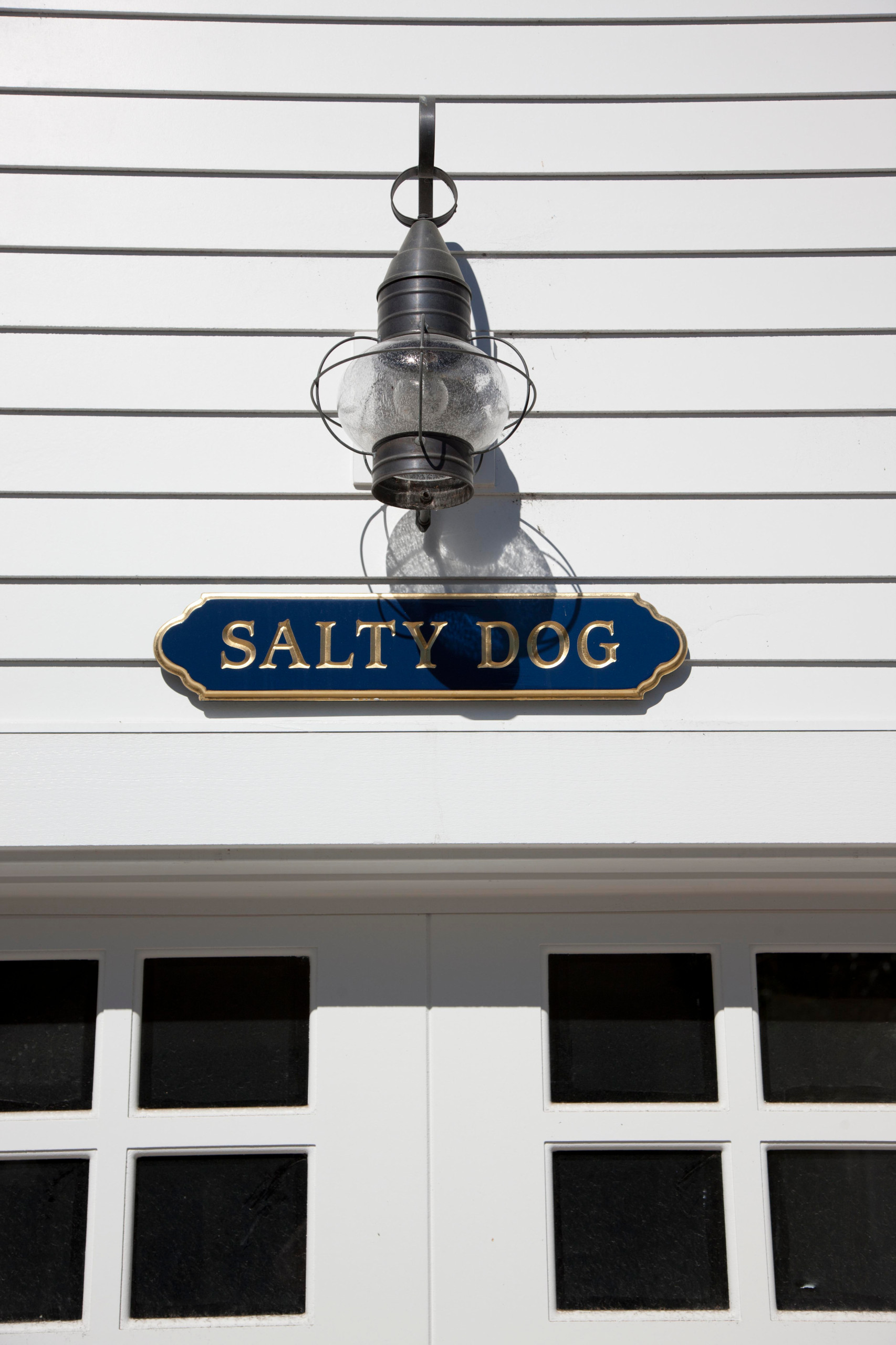 Salty Dog
